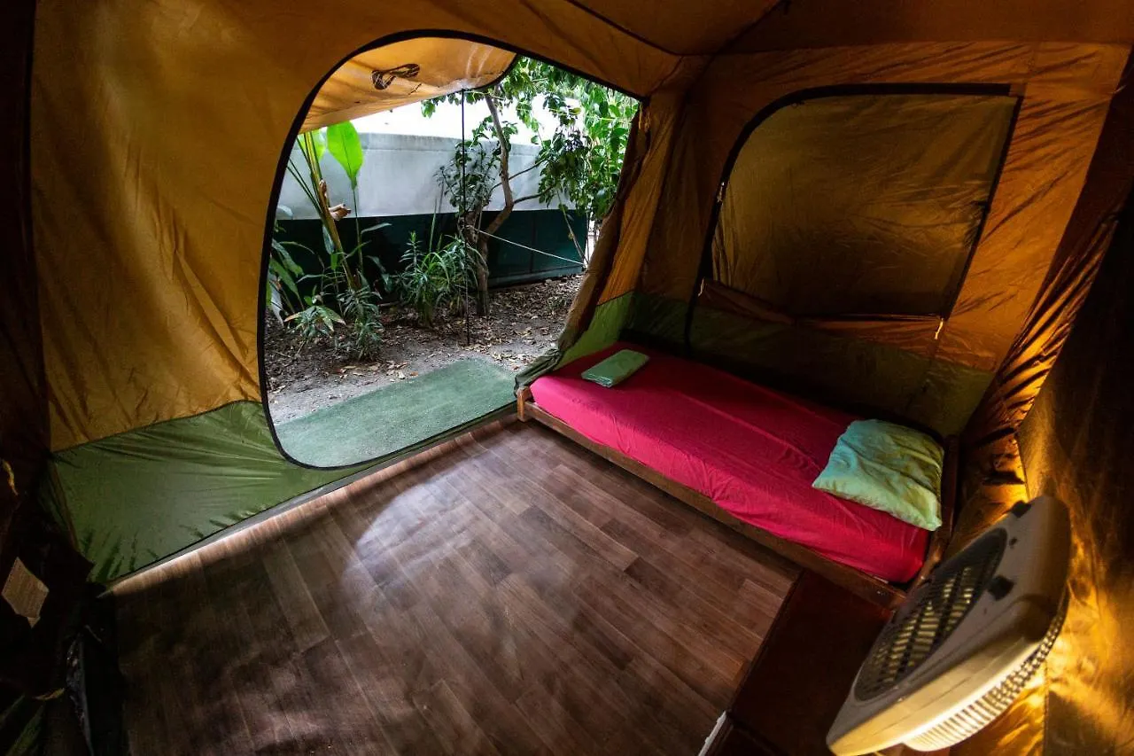 Dougies Backpackers Resort Port Douglas Australia